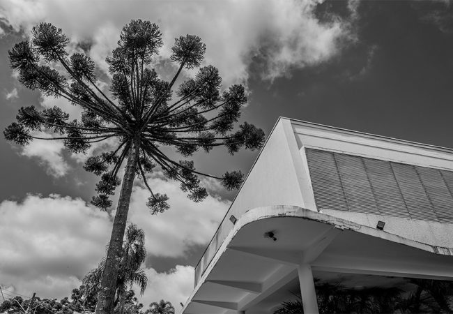 Foto 01 carrossel home